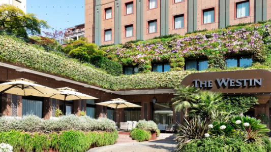 Dati che pensano: l’AI che semplifica le scelte, riduce i costi e restituisce tempo all’IT