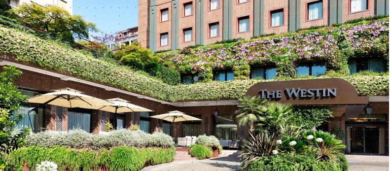 Dati che pensano: l’AI che semplifica le scelte, riduce i costi e restituisce tempo all’IT